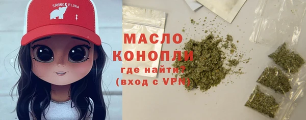 СК Дмитровск