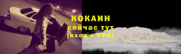 меф VHQ Дмитриев
